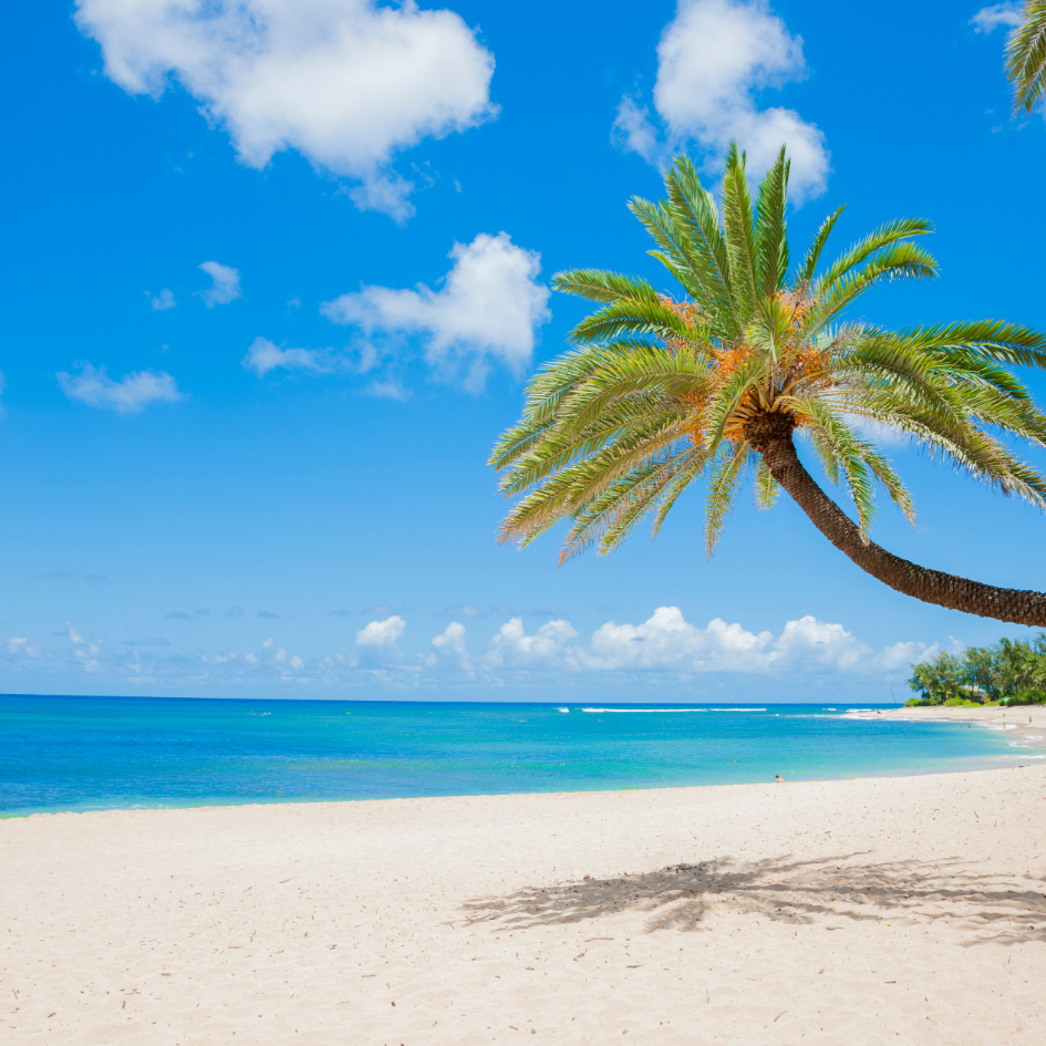 Hawaii beach